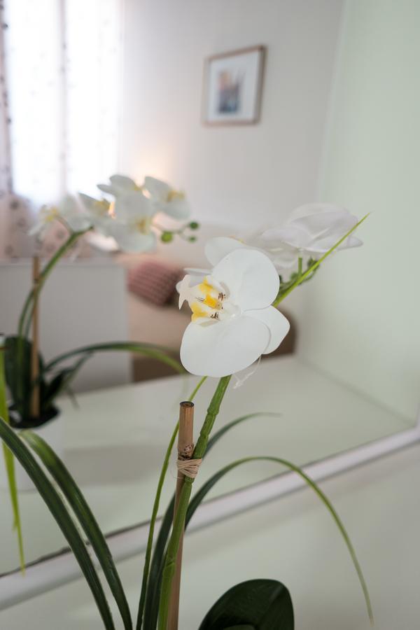 Backpackers House ונציה מראה חיצוני תמונה